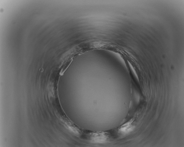 X0000066950524200603311445