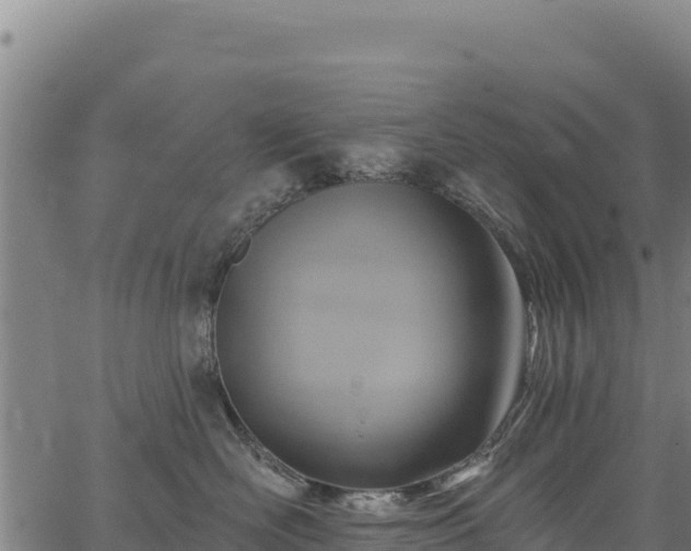 X0000066950526200603311445