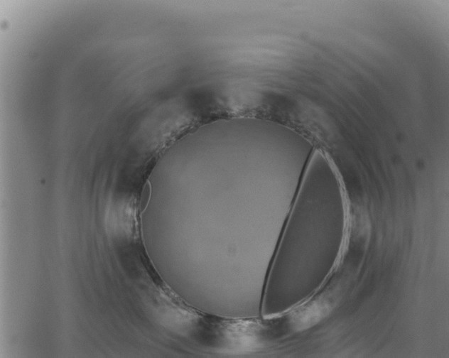 X0000066950527200603311445