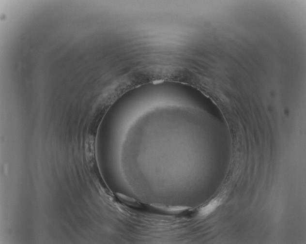 X0000066950528200603311445