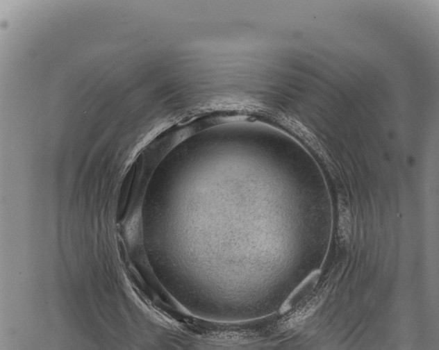 X0000066950530200603311444