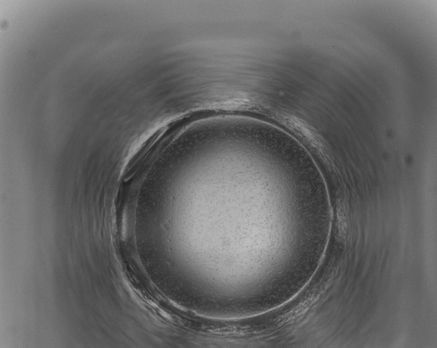 X0000066950532200603311444