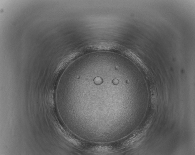 X0000066950537200603311444