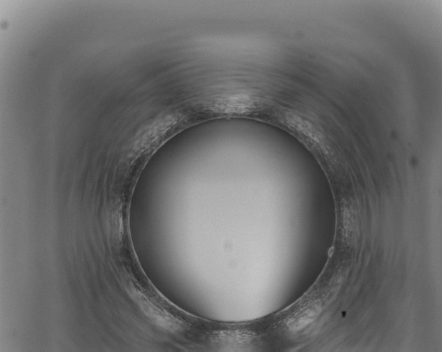 X0000066950541200603311445