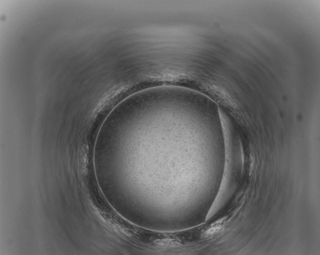 X0000066950544200603311445