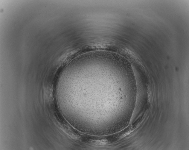 X0000066950548200603311445