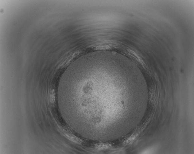 X0000066950549200603311445