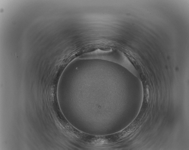 X0000066950551200603311445