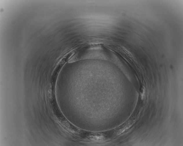 X0000066950552200603311445