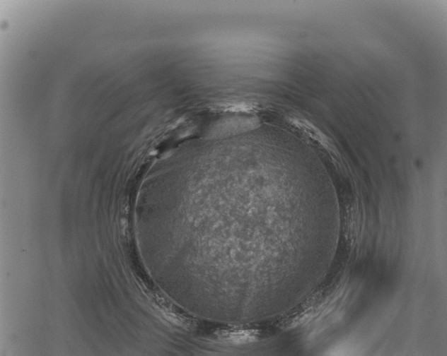 X0000066950553200603311445