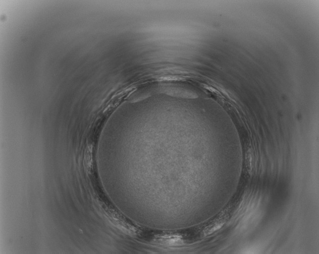 X0000066950554200603311445