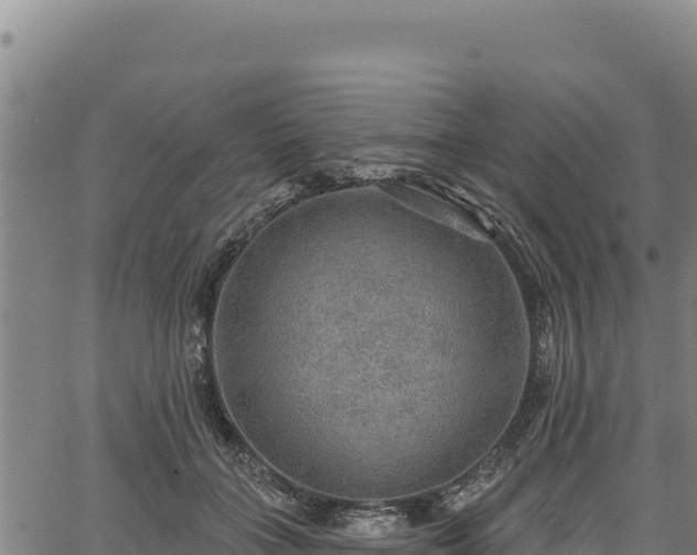 X0000066950555200603311445