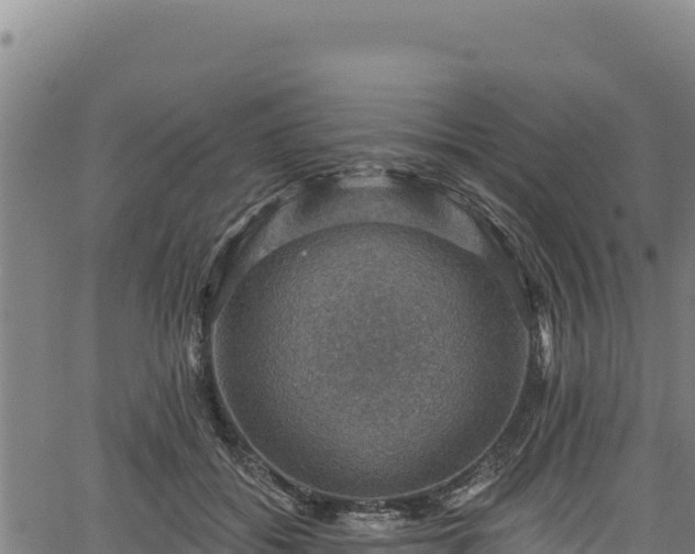 X0000066950556200603311445