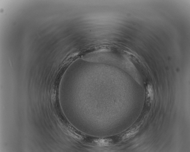 X0000066950558200603311445