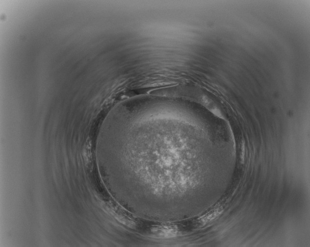 X0000066950559200603311445