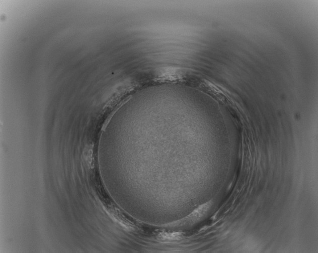 X0000066950560200603311445