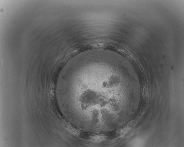 X0000066950561200603311445