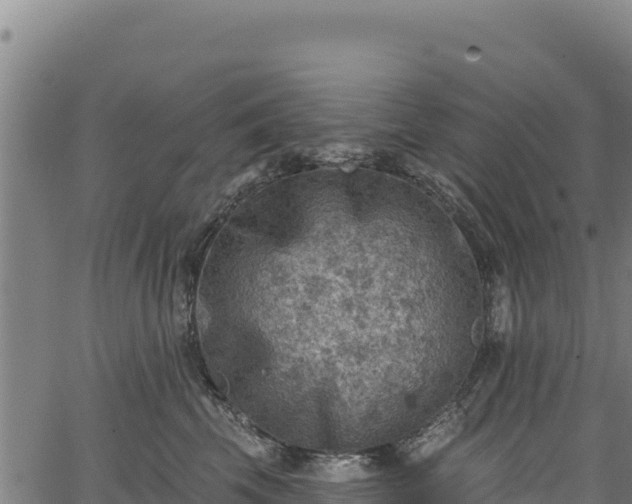 X0000066950569200603311445