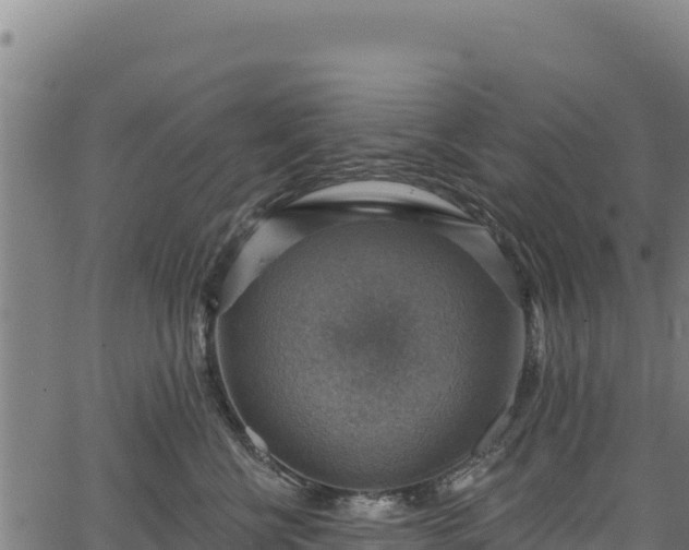 X0000066950570200603311445