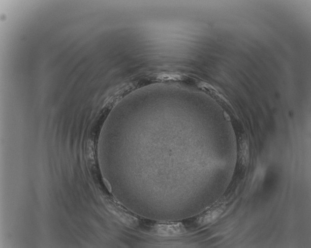 X0000066950571200603311445