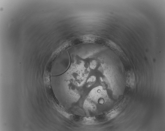 X0000066950573200603311445