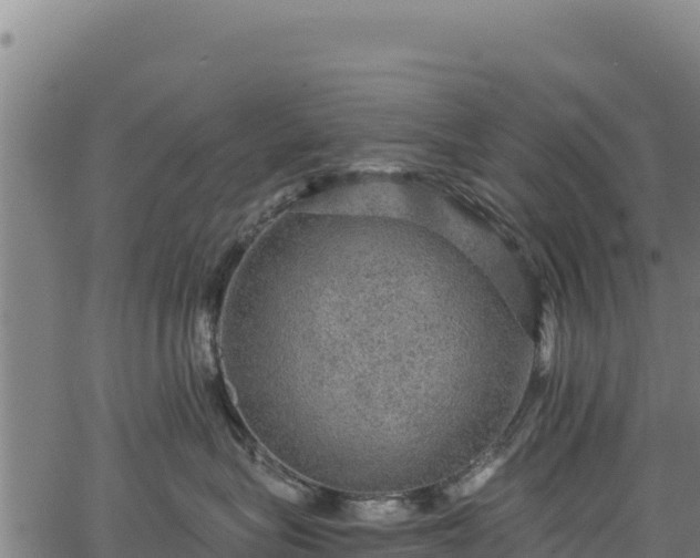 X0000066950575200603311445