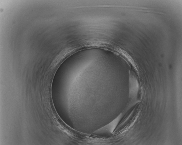 X0000066950577200603311444