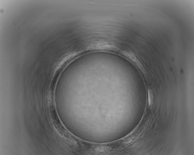 X0000066950579200603311444