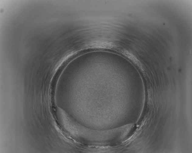 X0000066950580200603311444