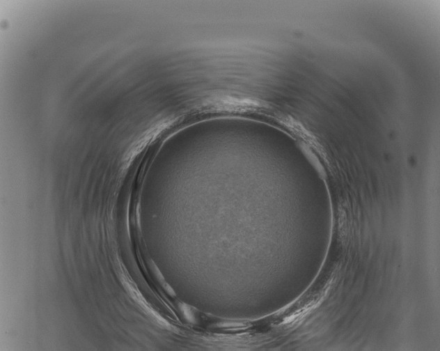 X0000066950581200603311444