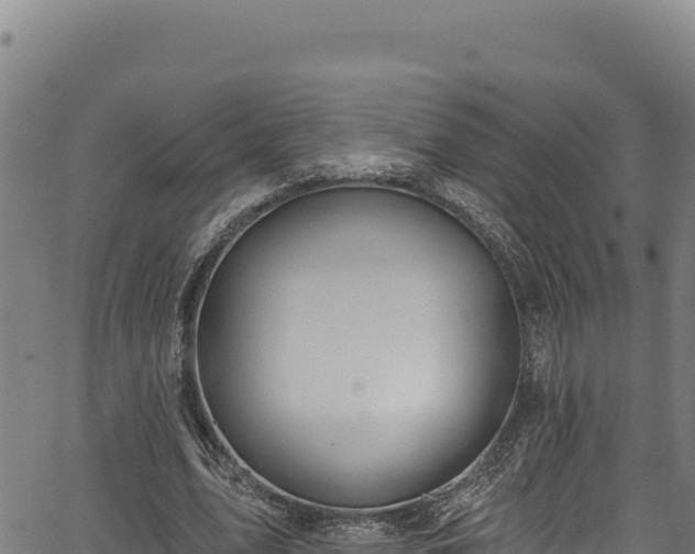 X0000066950583200603311444