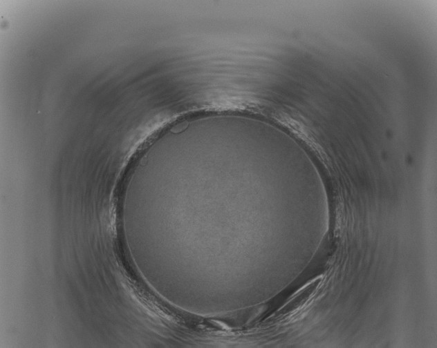 X0000066950584200603311444