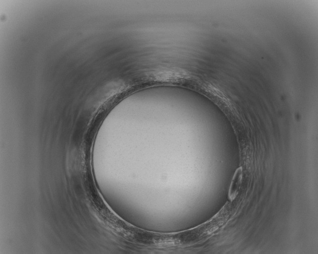 X0000066950587200603311444