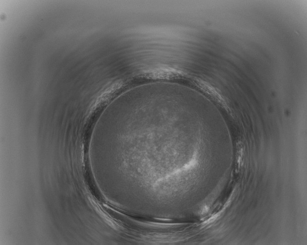 X0000066950589200603311444