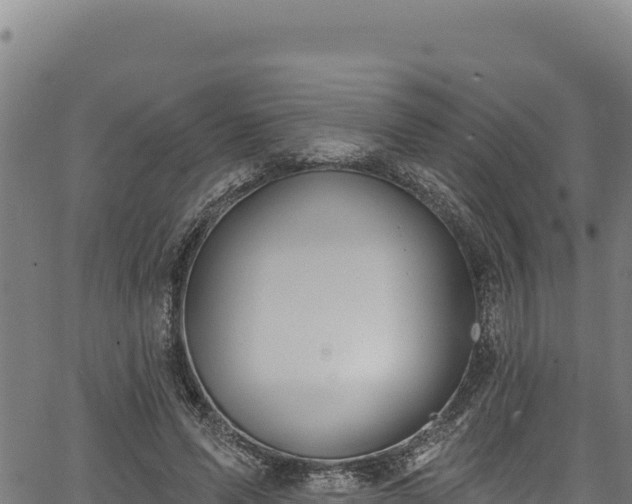 X0000066950591200603311444