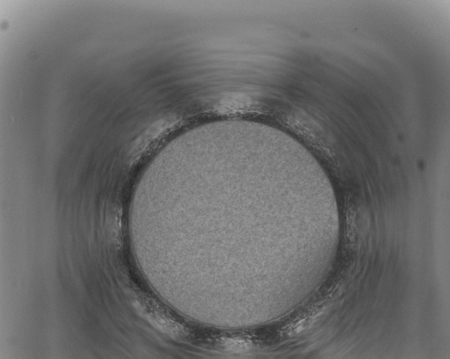 X0000066950592200603311444