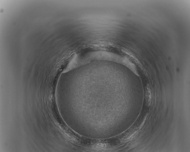 X0000066950593200603311444