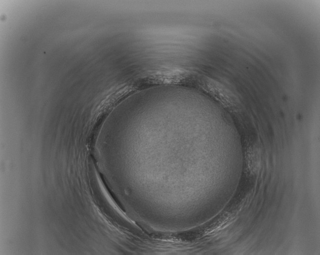 X0000066950594200603311444