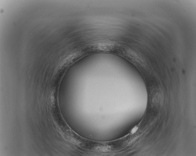 X0000066950595200603311444