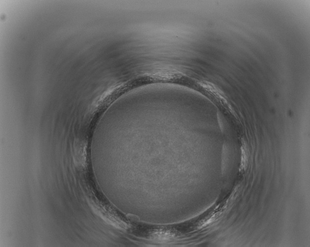 X0000066950596200603311444