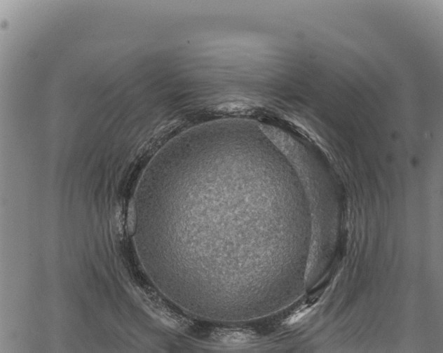 X0000066950597200603311444