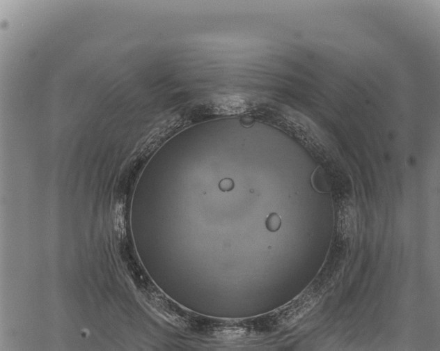 X0000066950598200603311444