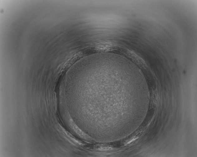 X0000066950601200603311444