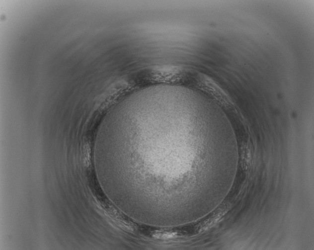 X0000066950602200603311444