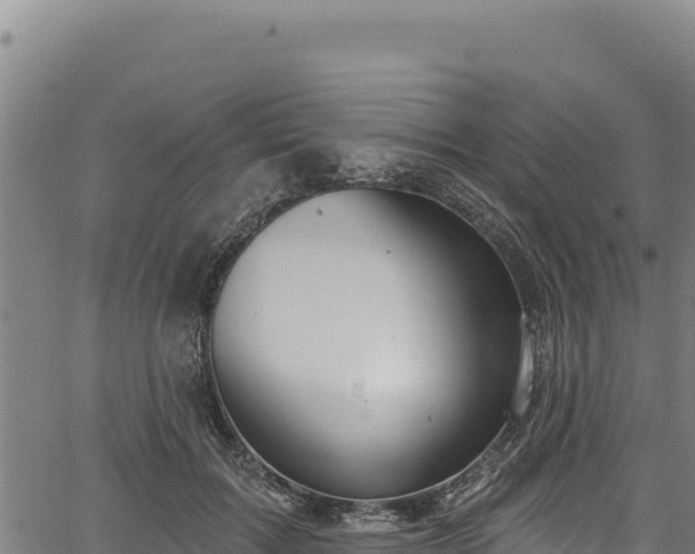 X0000066950603200603311444