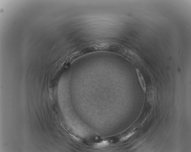 X0000066950604200603311444