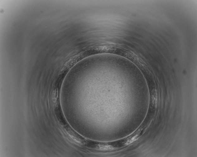 X0000066950605200603311444