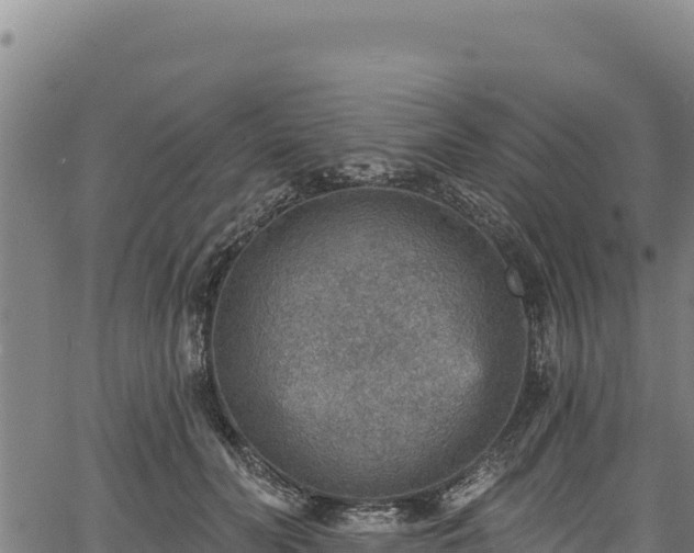 X0000066950606200603311444