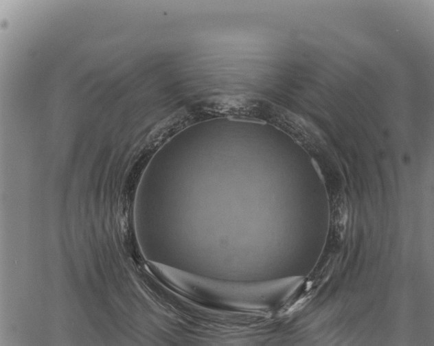 X0000066950607200603311444