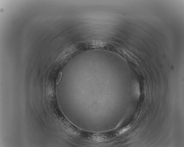 X0000066950608200603311444